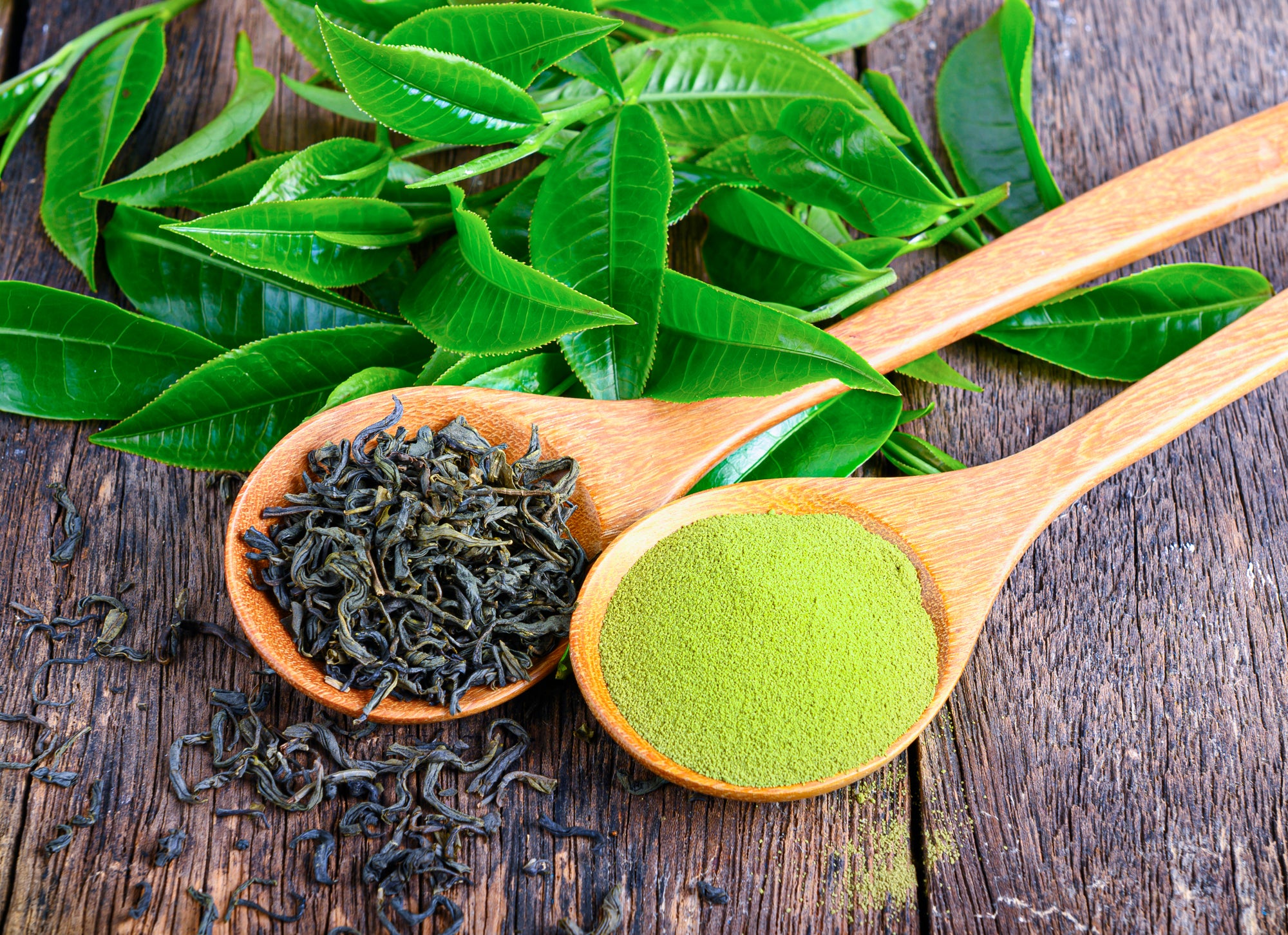 Matcha vs. Loose Leaf Green Tea: 6 Key Differences – JOYÀ
